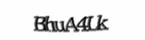 Security check image, please type the characters shown